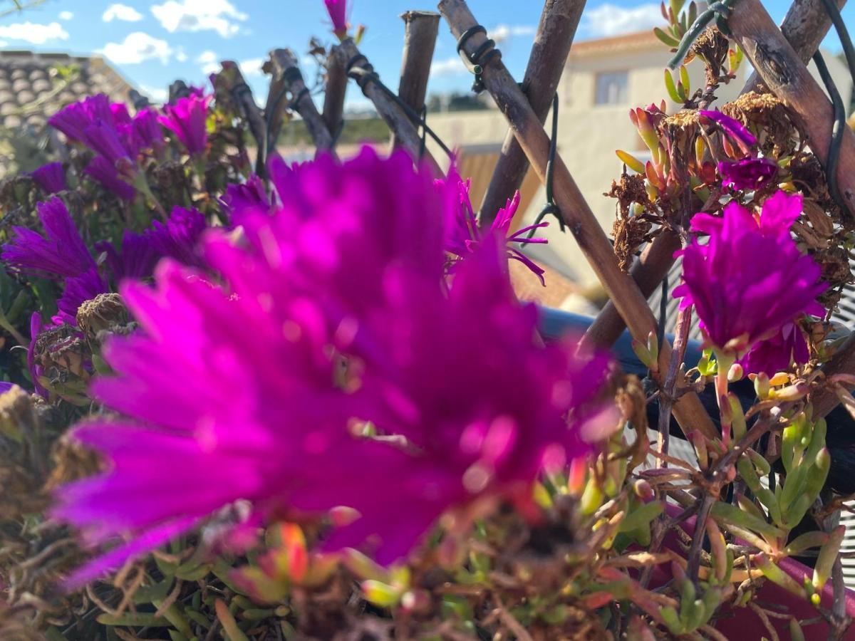 Sol Mediterraneo Algarrobo Exterior foto